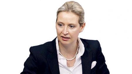 AfD: Bizsiz yapamazsınız