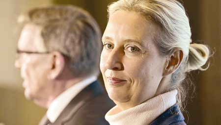 Almanya’da hükümet gecikti… Aşırı sağcı parti tarihi dayanağa ulaştı