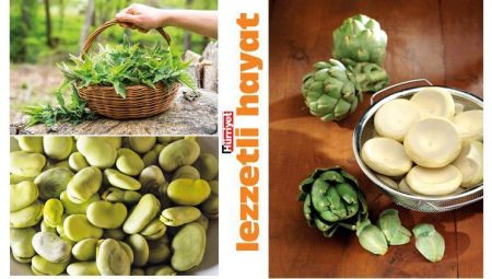 Baharın eşlikçileri