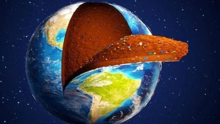 Bilim dünyasını şoke eden keşif! Yeni hayat formları bulundu