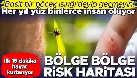 Böcek ısırığı deyip geçmeyin! Her yıl yüz binlerce kişi ölüyor… Birinci 15 dakika hayat kurtarıyor