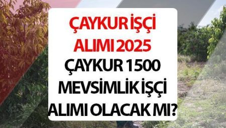 ÇAYKUR PERSONEL ALIMI 2025 SON DURUM || İŞKUR Çaykur 1500 personel alımı müracaat ne vakit başlayacak, muhakkak oldu mu?