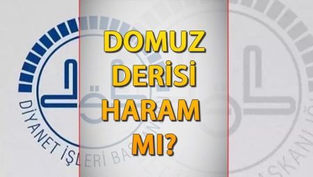 Domuz derisi haram mı? Domuz derisinden ayakkabı ve kıyafet giymek caiz mi, günah mı? İşte Diyanet’in karşılığı