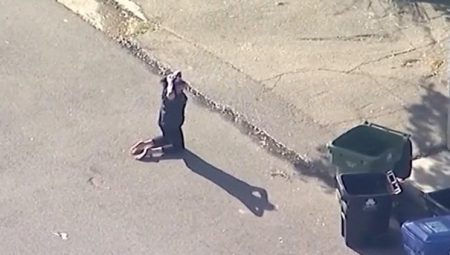 Dünyaca ünlü rock yıldızının eşini polis vurdu