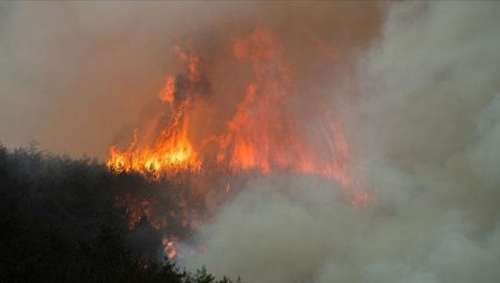Güney Kore’de orman yangınları denetim altına alınamadı: Bir bölge tahliye ediliyor