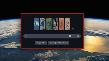 İklim değişikliği ilerleme durumu Google’da Doodle oldu! 2025 Dünya Günü nedir, ne vakit?
