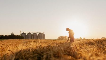 İŞKUR TİGEM EMEKÇİ ALIMI MÜRACAAT EKRANI: Kura ile toplam 306 emekçi alımı yapılacak… (Şoför, elektrikçi, kahya, aşçı, fırıncı ve birçok pozisyon)