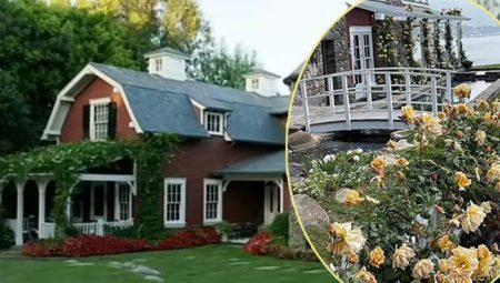 İşte yıllanmış ünlü çiftin keyifli aşk yuvası… Gül bahçesinde yaşıyorlarmış!