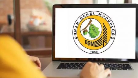OGM 3477 İŞÇİ ALIMI SONUÇLARI AÇIKLANDI MI? Orman Genel Müdürlüğü (OGM) sonuçları ne vakit açıklanacak?