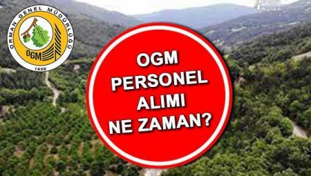 OGM İŞÇİ ALIMI MÜRACAAT SONUÇLARI 2025 | Orman Genel Müdürlüğü (OGM) 3477 işçi alımı sonuçları ne vakit açıklanacak, açıklandı mı? Sonuç sorgulama ekranı ogm.gov.tr!