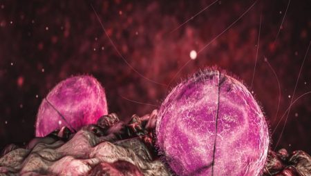 Saatler içinde gelen mevt tehlikesi! Çocukları menenjitten muhafazanın yolları