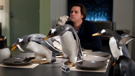 Babamın Penguenleri sinemasının konusu nedir, oyuncuları kimler, ne anlatıyor?