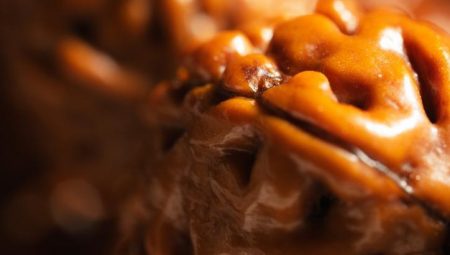 Beyin sıhhati için birebir! Günde ne kadar tüketmeli? İşte ceviz yemenin sıhhate dokuz mükemmel yararı