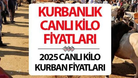 KURBANLIK FİYATLARI 2025 (Kilo): Canlı koyun, dana, keçi, küçükbaş, büyükbaş kurban fiyatları kaç TL?