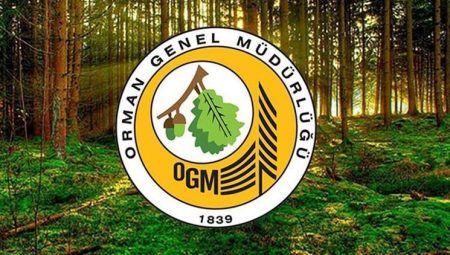 OGM 105 İŞÇİ ALIMI 2025 || Orman Genel Müdürlüğü kontratlı işçi alımı ne vakit, müracaat kuralları neler?