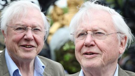 Ömrünü mesleğine adadı… 70 yıldır ekranların yıldızı… Son sözleri herkesi üzdü: Ben artık bu ömrün sonuna geldim, çabam size emanet