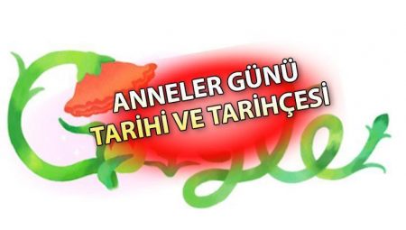 BUGÜN ANNELER GÜNÜ MÜ 11 MAYIS PAZAR GÜNÜ MÜ? Google’dan anneler günü sürprizi! İşte Anneler Günü tarihçesi