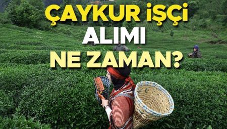 ÇAYKUR personel alımı başvurusu 2025 son durum | Çaykur emekçi alımı müracaat tarihi aşikâr oldu mu, hangi fabrikaya kaç kişi alınacak? Çaykur mevsimlik personel alımları başladı mı? Gözler takvim açıklamasında!