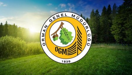 OGM İŞÇİ ALIMI SONUÇLARI 2025 SON DURUM | OGM personel alımı müracaat sonuçları ne vakit açıklanacak, açıklandı mı? OGM 3 bin 477 işçi alımı müracaat ayrıntıları