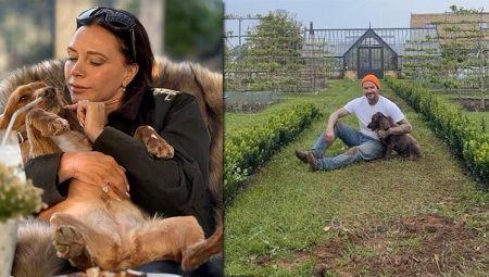 Oğulları ve gelinleriyle küstüler… Kendilerini çiftlik hayatının kollarına attılar