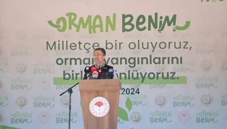 ORMAN BENİM AKTİFLİĞİ 2025 || Orman Benim kampanyası aktifliği ne vakit, saat kaçta, nerede olacak? İşte, Orman Benim aktiflik alanları listesi