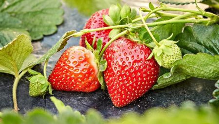 Sıhhat besleneyim derken sağlığınızdan olmayın! Bunların hepsinde pestisit bulunuyor… İşte tam liste