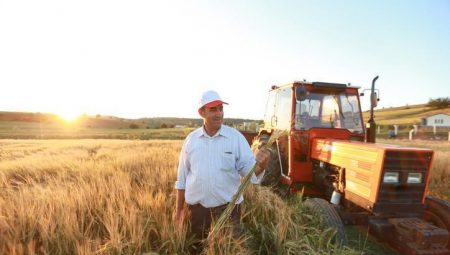 TİGEM kura sonuçları açıklandı mı? TİGEM 306 mevsimlik personel alımı için gözler kura sonuçlarına çevrildi