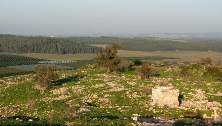 Üç yaşındaki çocuğun yerden aldığı taş, 3 bin 800 yıllık tarihi eser çıktı!