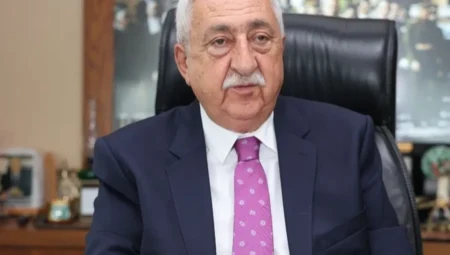 Palandöken: Mali Müşavir yetkileri korunuyor!