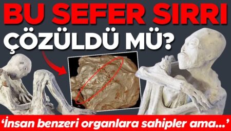 Çölde başlayan gizemli kıssa bilimi karıştırdı: Bu sefer sırrı çözüldü mü? ‘İnsan gibisi organlara sahipler lakin…’
