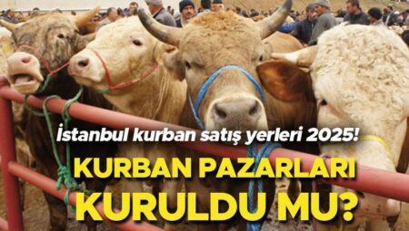 İstanbul kurban satış yerleri 2025 | Kurbanlıklar İstanbul’a ne vakit gelecek 2025? Kurban pazarları kuruldu mu? İstanbul Vilayet Tarım ve Orman Müdürü açıkladı!