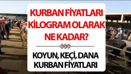 KURBAN FİYATLARI 2025 CANLI (KİLO) || Koyun, keçi, küçükbaş, dana, büyükbaş kurbanlık fiyatları ne kadar, kaç TL?
