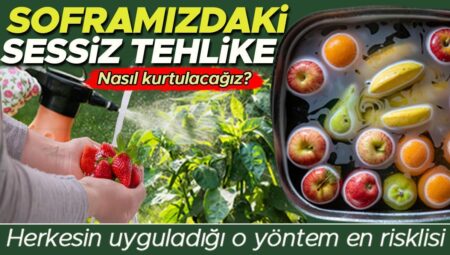 Soframızdaki sessiz tehlike | Meyve ve sebzelerdeki pestisit kalıntılarından nasıl kurtulacağız? İşte 12 soruda pestisit belgesi